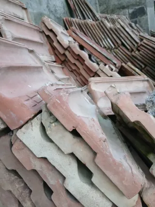 Lote Teja Plana Alicantina Borja