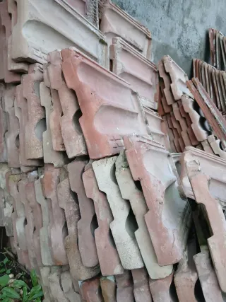 Lote Teja Plana Alicantina Borja