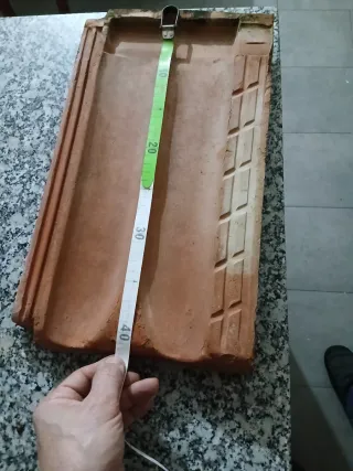 Lote Teja Plana Alicantina Borja