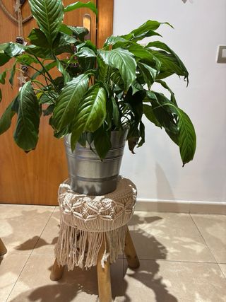 2 Taburetes Boho Madera Maciza