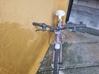 Bicicleta juvenil morada