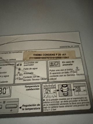 Caldaia Saunier Duval Condensazione Bianca