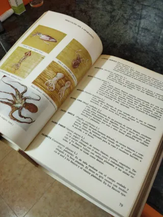 Gran enciclopedia de la cocina