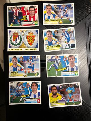 Cromos Panini Liga BBVA 13/14