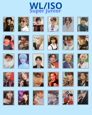 WTT/WTS SUPER JUNIOR D&E LENTICULAR CARD