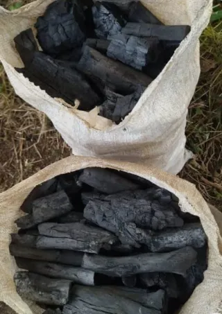 Carbón vegetal para barbacoa