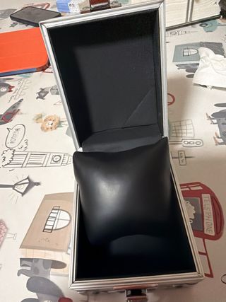 Caja de reloj TW Steel plateada