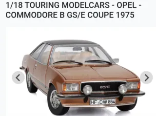 100€ per modello  Modellini 1:18