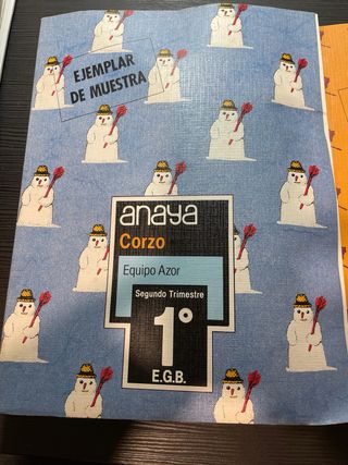 Lote libros escolares antiguos EGB Anaya Corzo 1º