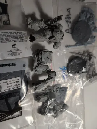 Dreadnought Custodes