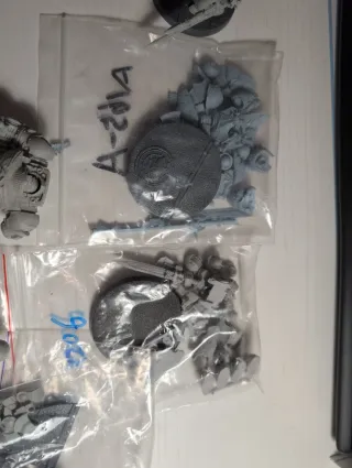 Dreadnought Custodes