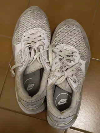 Scarpe Nike Air Max Grigio/Biache