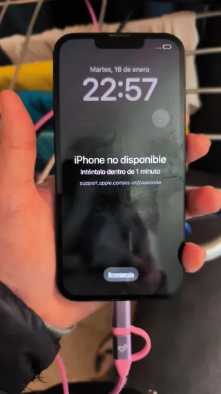 iPhone 13 azul marino leer