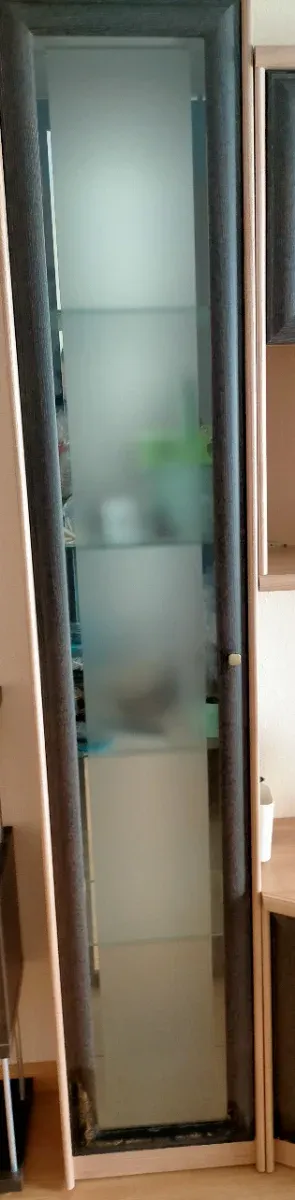 Vitrina de salón con puertas de cristal