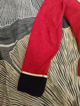 Disfraz Maestro Ceremonias ( mujer )