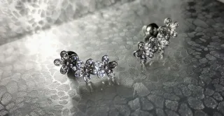 Pendientes trepadores flores plata