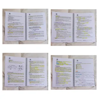 Protocolo + anexos - Auxiliar Servicios CAM