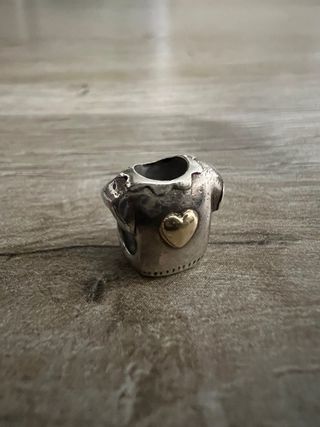 Lote 5 Charms Pandora Plata