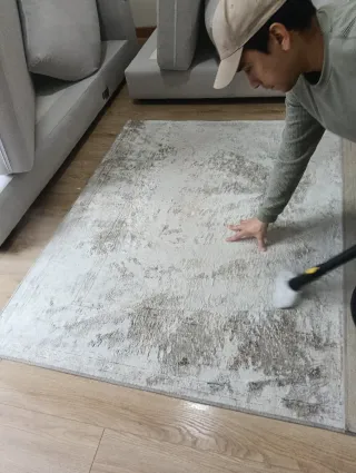 Limpieza de Alfombras