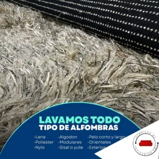 Limpieza de Alfombras