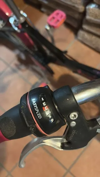 Bicicleta infantil 20 pulgadas