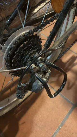 Bicicleta infantil 20 pulgadas