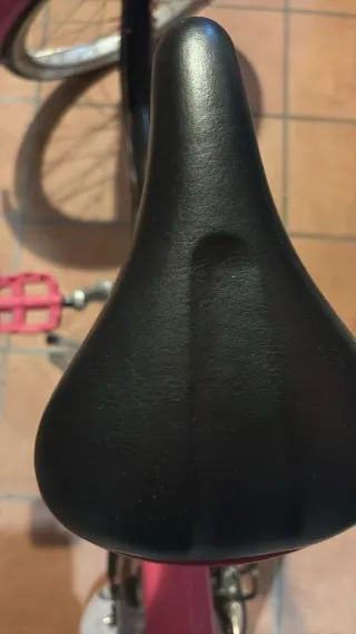 Bicicleta infantil 20 pulgadas