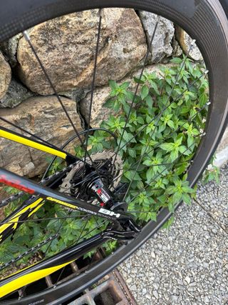 Bicicleta de carretera BH Quartz