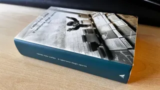 Il labirinto degli spiriti (Italian Edition)