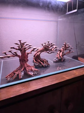 3 piezas Bonsái para acuario SIN ESTRENAR