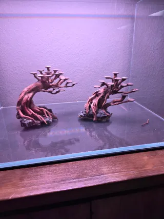 3 piezas Bonsái para acuario SIN ESTRENAR