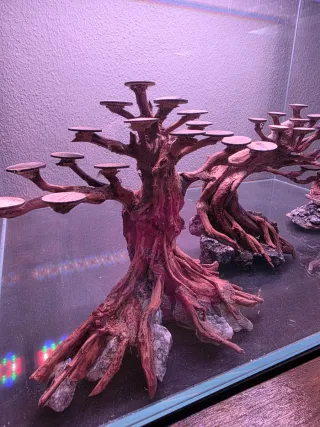 3 piezas Bonsái para acuario SIN ESTRENAR