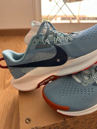 Nike Pegasus Trail Zapatillas Hombre/Mujer
