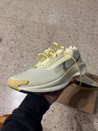 Nike Pegasus Gore-Tex Trail Running Shoes