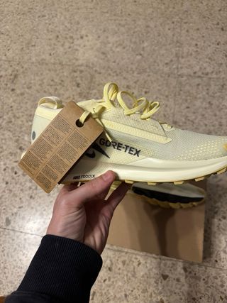 Nike Pegasus Gore-Tex Trail Running Shoes