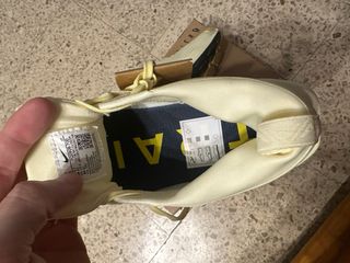 Nike Pegasus Gore-Tex Trail Running Shoes