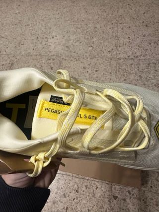 Nike Pegasus Gore-Tex Trail Running Shoes