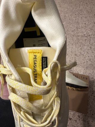 Nike Pegasus Gore-Tex Trail Running Shoes