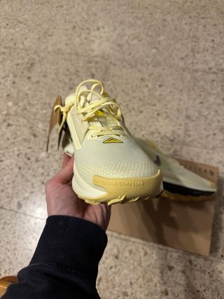 Nike Pegasus Gore-Tex Trail Running Shoes