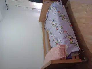 Cama articulada + colchón antiescaras