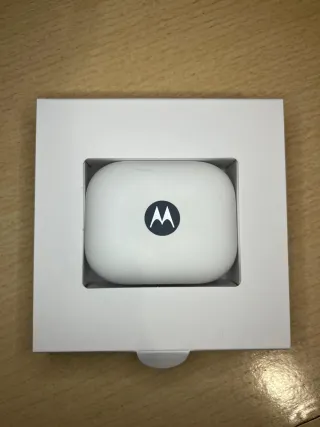 Auriculares Motorola Moto Buds Azul Marino