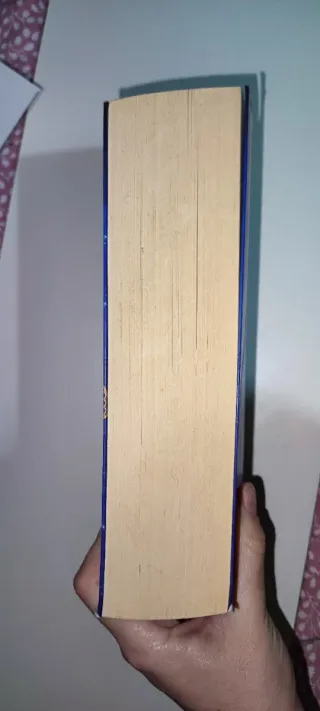 El soñador desconocido