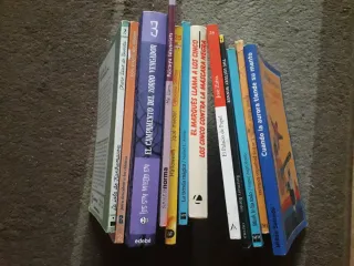 Lote de libros juveniles.
