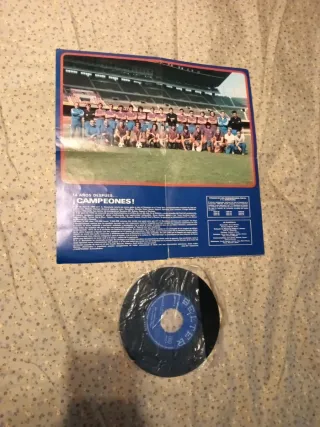 Disco Vinilo FC Barcelona AZUL Y GRANA