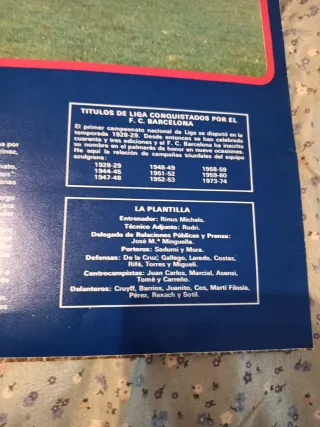 Disco Vinilo FC Barcelona AZUL Y GRANA