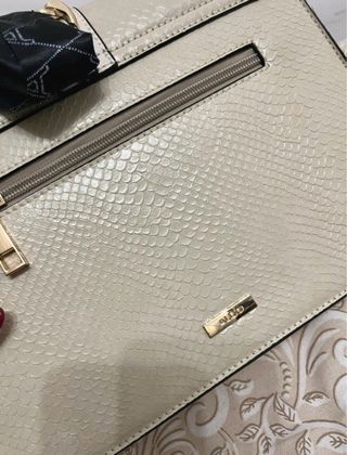 Borsa Aldo Beige Oro con Foulard