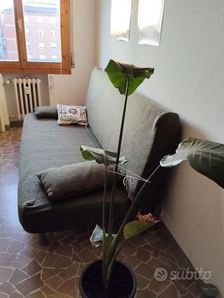 Divano letto 3 posti ikea