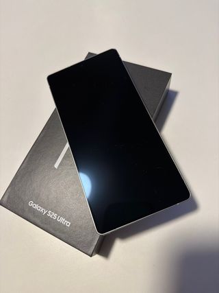 Samsung Galaxy S25 Ultra Gris/Plata