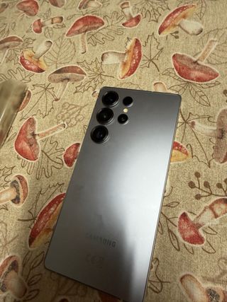 Samsung Galaxy S25 Ultra Gris/Plata