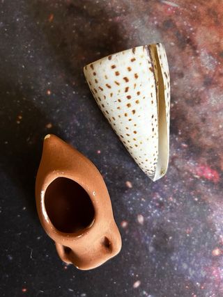 Acuario Pecera Aquarium Completo con accesorios